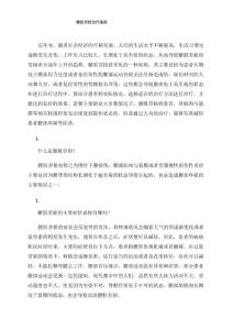 腰肌劳损治疗指南