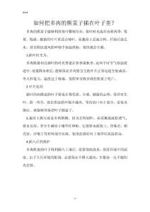 如何把多肉的熊童子插在叶子里？
