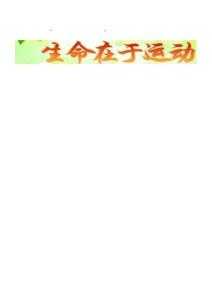 基底动脉型偏头痛,基底动脉型偏头痛的症状,基底动脉型偏头痛治疗【专业知识】