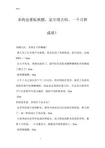 多肉也要贴秋膘，盆里埋点料，一个月胖成球！