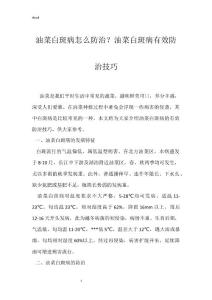 油菜白斑病怎么防治？油菜白斑病有效防治技巧