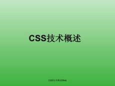 css技術概述web課件