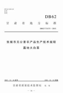DB62T 1075-2003 张掖市无公害农产品生产技术规程 露地大白菜