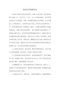 龟类疖肿病防治