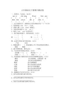 六年级语文下册期中测试卷
