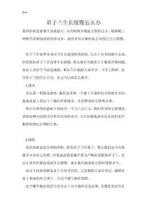 君子兰生长缓慢怎么办