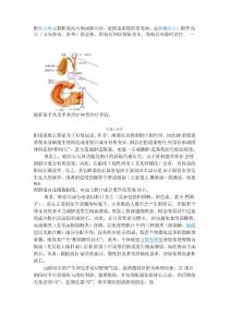 胆结石攻略