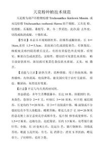 天花粉種植技術規范