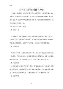 玉米苗生长缓慢什么原因