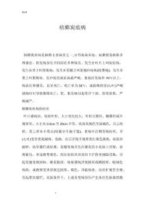 槟榔炭疽病