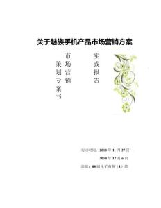 电子商务专业实践报告-关于魅族手机产品市场营销方案