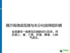偶尔高烧或低烧和未分化结缔组织病