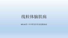 线粒体脑肌病