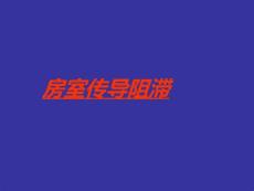 房室传导阻滞18577