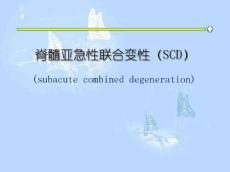 脊髓亚急性联合变性