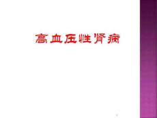 高血压肾病PPT课件