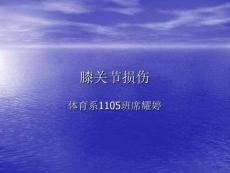 膝关节损伤24134