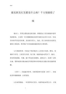 猪皮肤发红发紫是什么病？千万别搞错了病