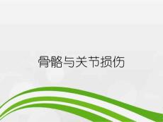 骨骼与关节损伤