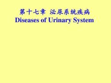 病理学肾小球肾炎与肾盂肾炎