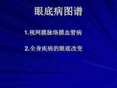 眼底病图谱736