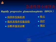 急进性肾小球肾炎2173