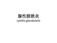 腺性膀胱炎10622