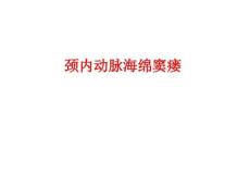 [课件]颈内动脉海绵窦瘘