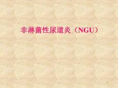 皮肤性病学非淋菌性尿道炎