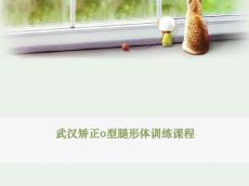 武汉矫正o型腿形体训练课程