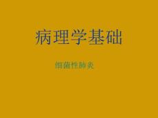 大叶性肺炎