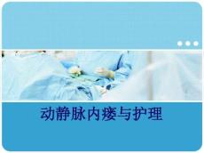 动静脉内瘘2317