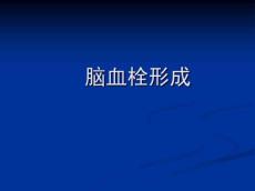脑血栓形成讲解