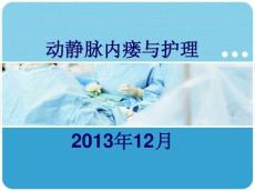 动静脉内瘘2332