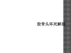 股骨头坏死解剖