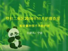 骶管囊肿围手术期护理