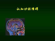 认知功能障碍