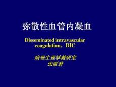 506弥散性血管内凝血