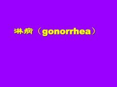 淋病讲课课件