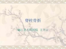 脊柱骨折11433
