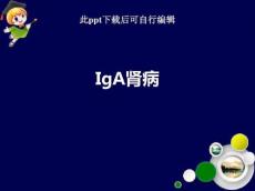 IgA肾病ppt课件