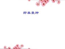 卵巢囊肿课件