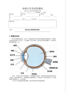 近视原理