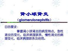肾小球肾炎