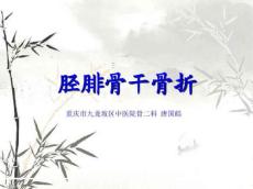 胫腓骨干骨折