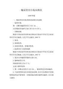 输尿管结石临床路径