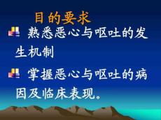 恶心与呕吐9900