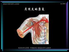 肩周炎康复