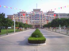 地中海贫血学习