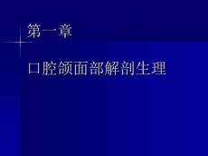 口腔颌面部解剖